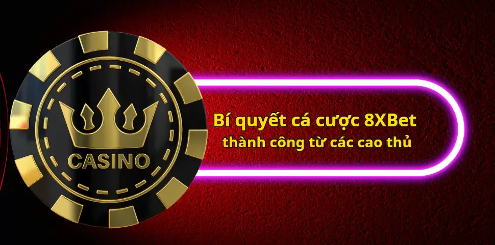 Bí quyết cá cược 8XBet thành công từ các cao thủ